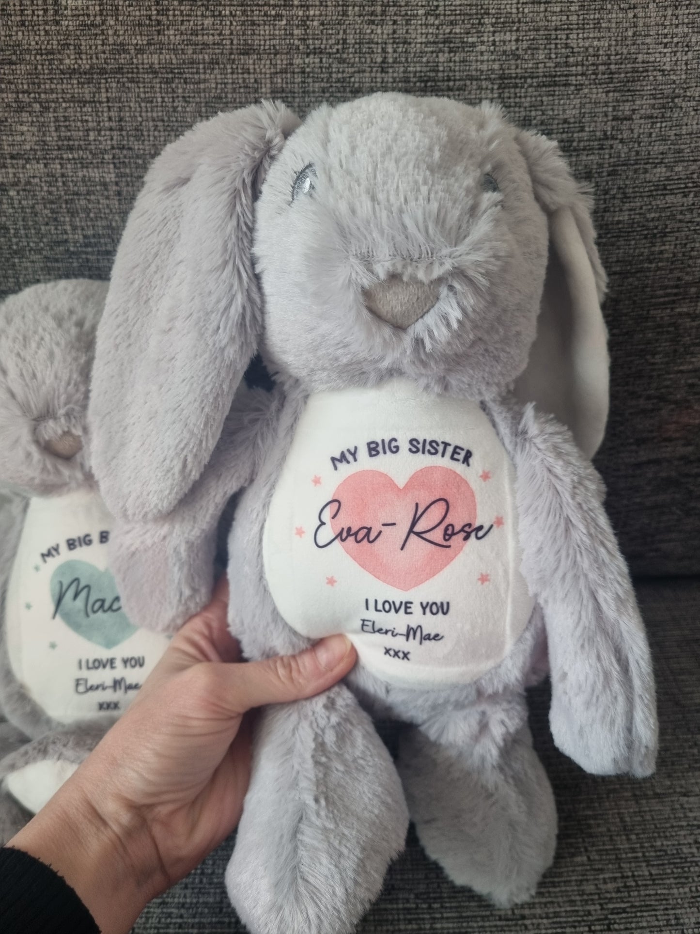 Sibling Teddy. Gift for brothers and sisters. Soft toy for kids. Personalised Gift for kids.