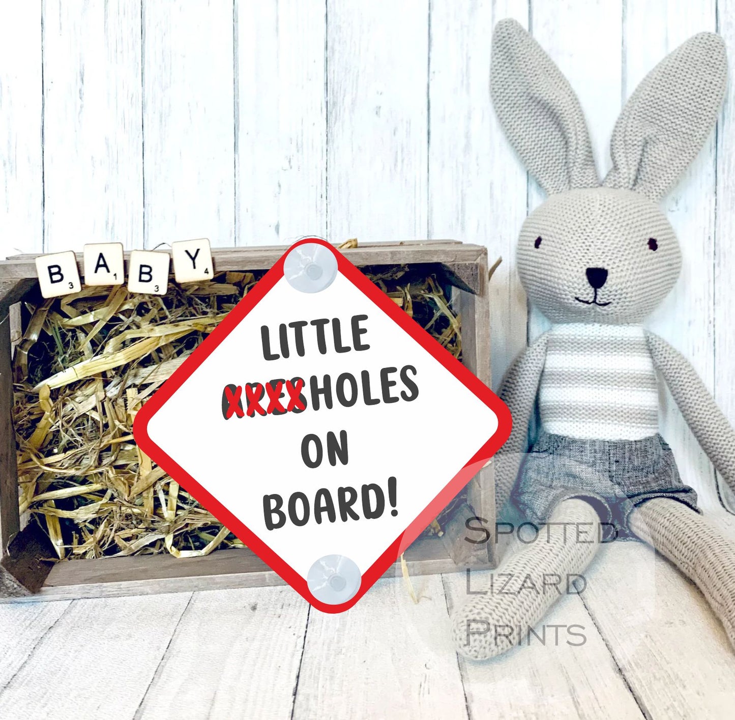 Little Arseholes on Board! Baby on Board Car Sign - Baby on Board | Child on Board