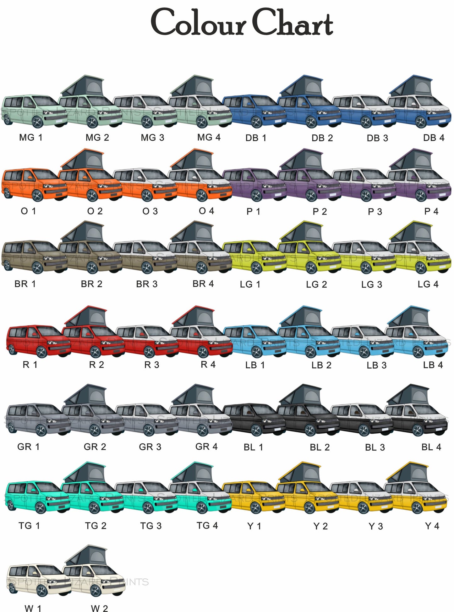 Camper Van options