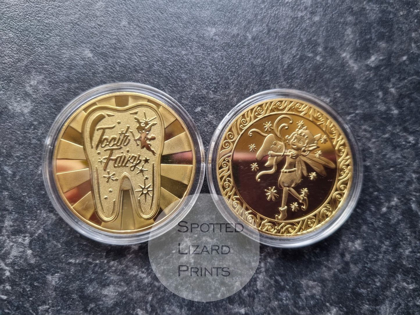 Tooth fairy Coin
