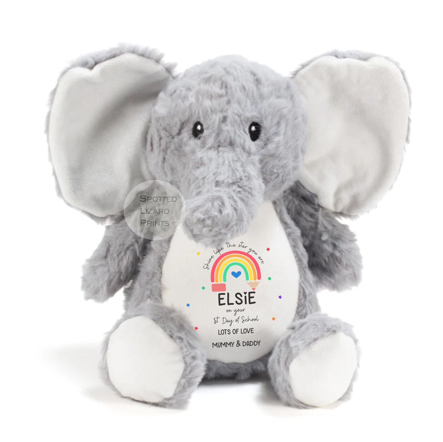 First Day Of School Good Luck Gift, Back To School, Primary Secondary School, Son Daughter, First Day At School or First Day of Nursery Teddy