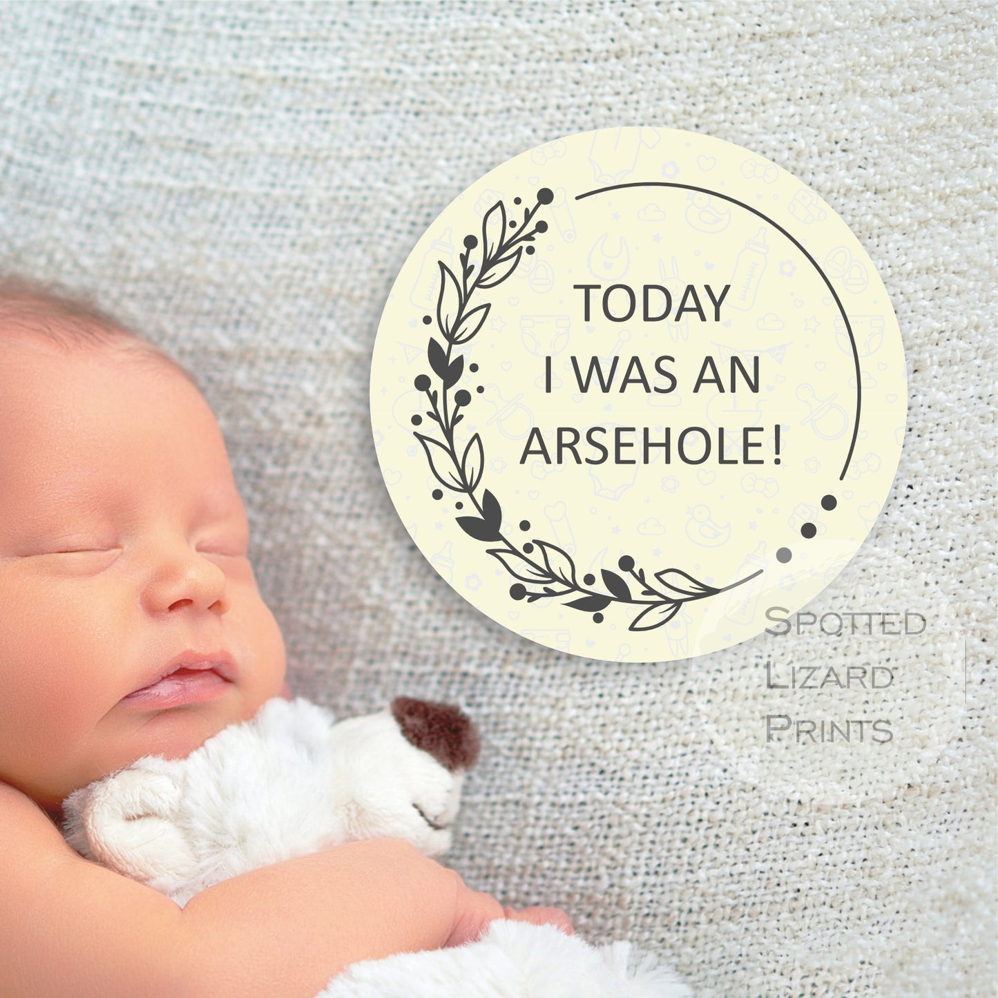 Funny/Sweary Baby milestone Disc