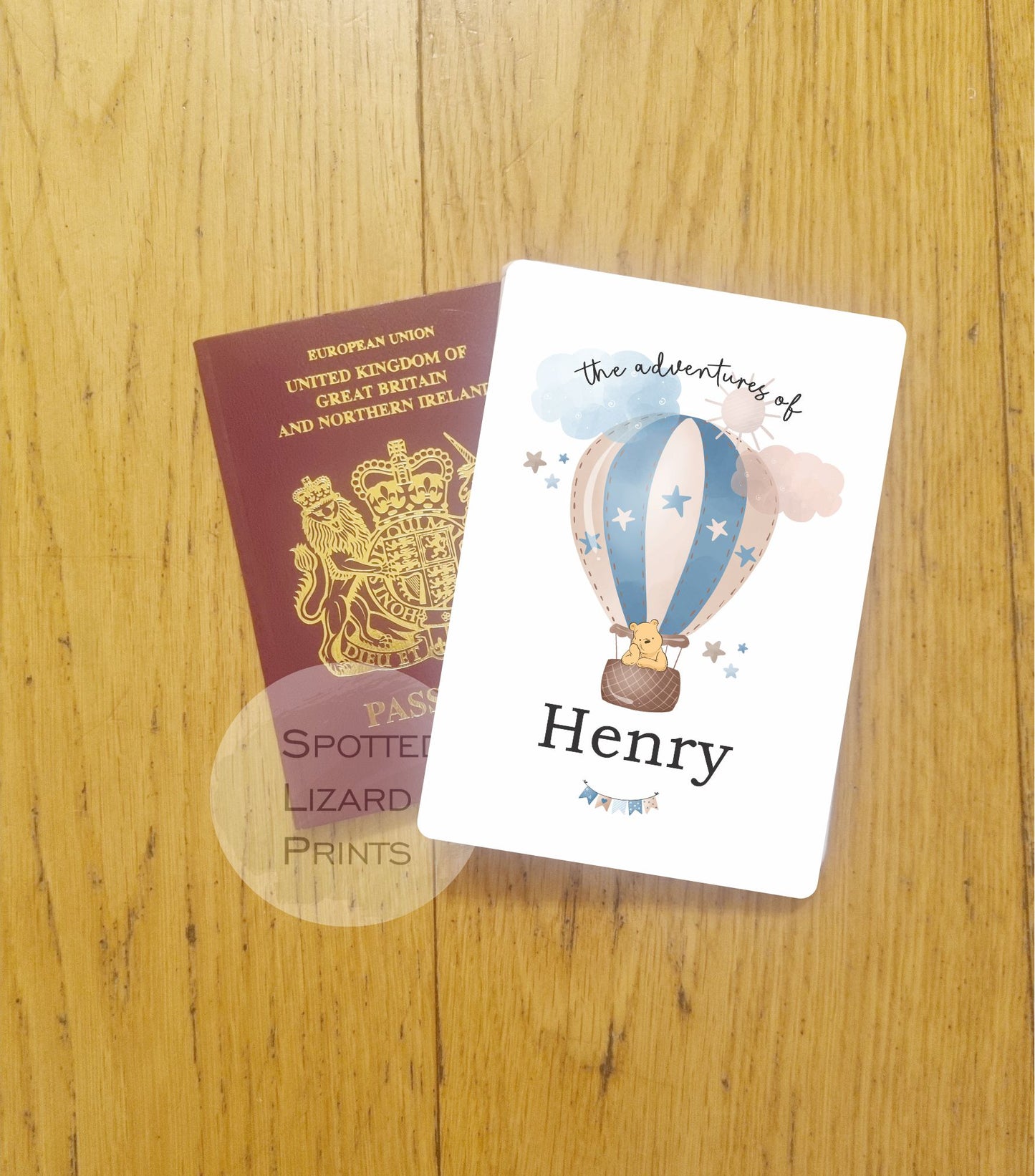 My 1st Passport protector