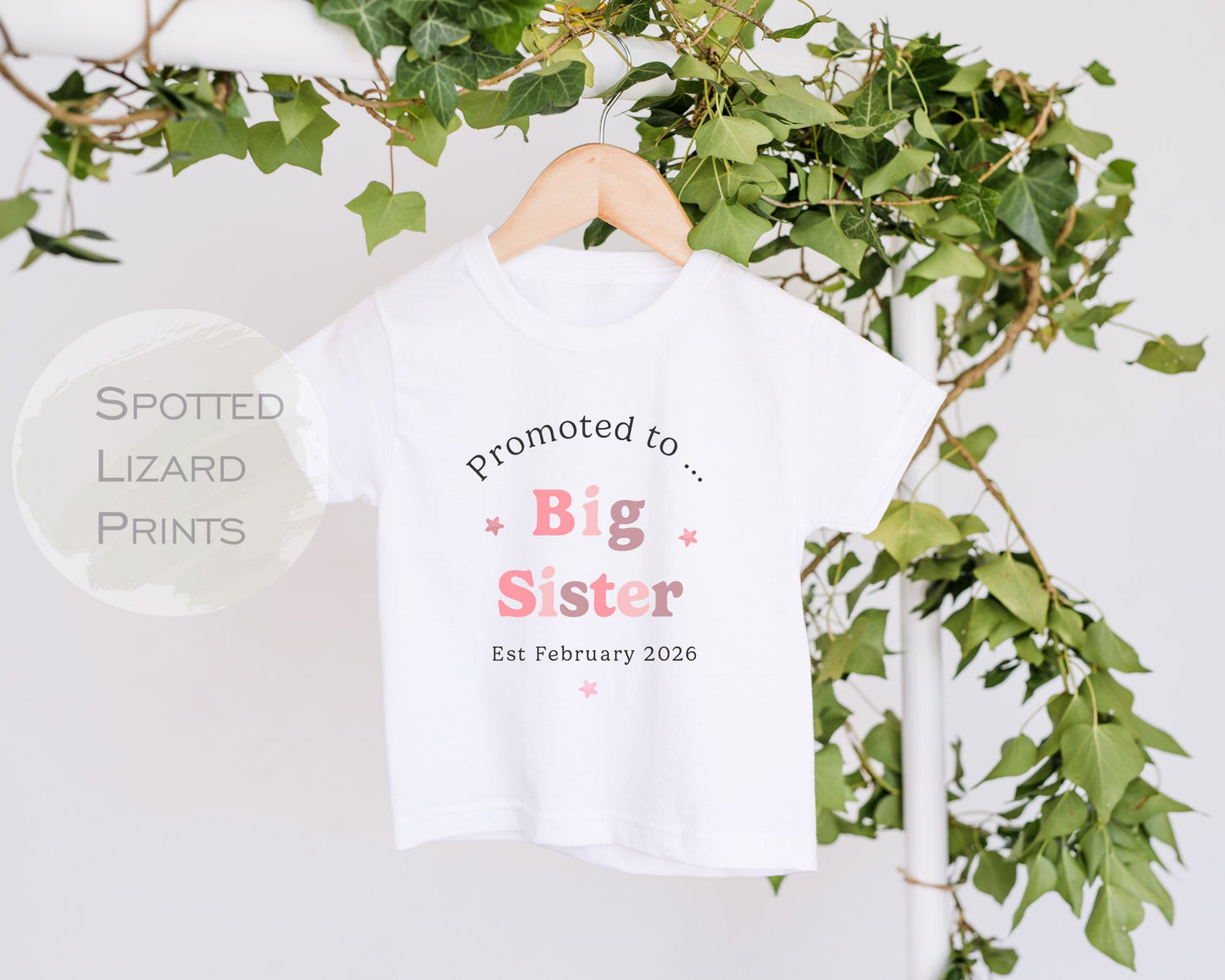 Big Sister Kids T-shirt- Sisters Toddler Clothing Cute T-shirt Siblings Gift Idea - Older Sister Pastel Colours Top, Promoted to Big Sister