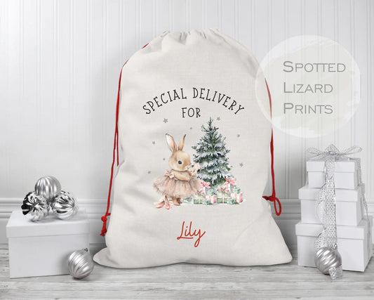 Small Santa sack