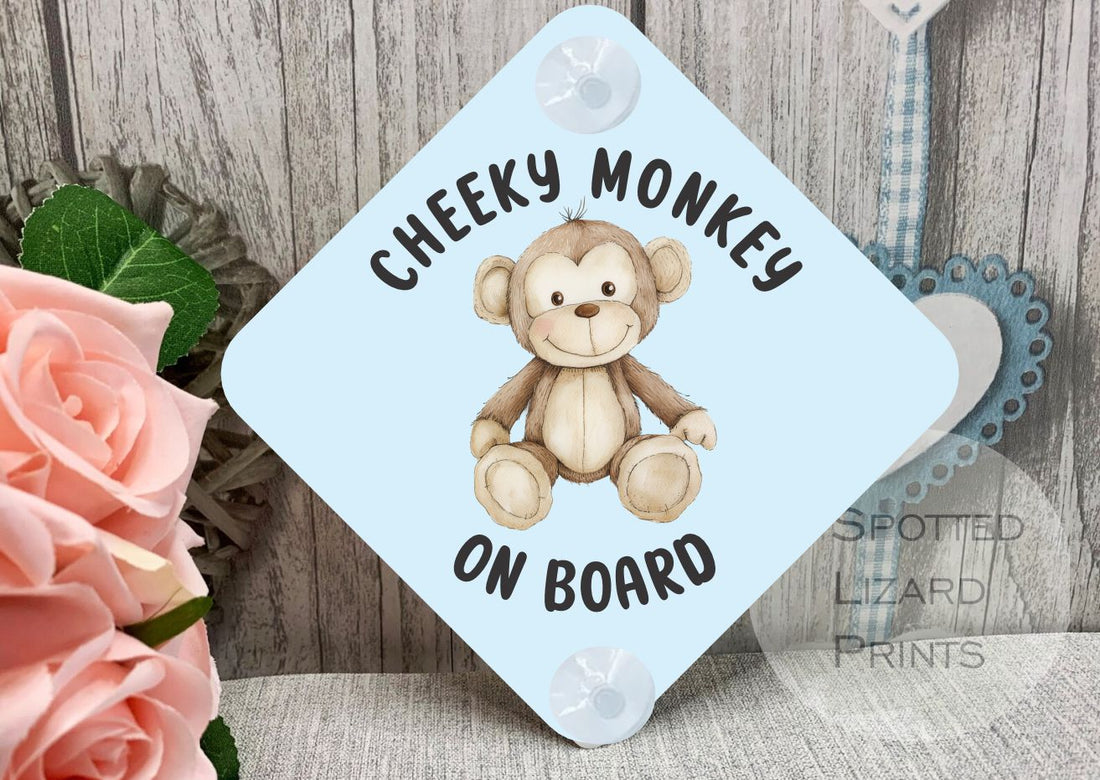 Personalised car signs