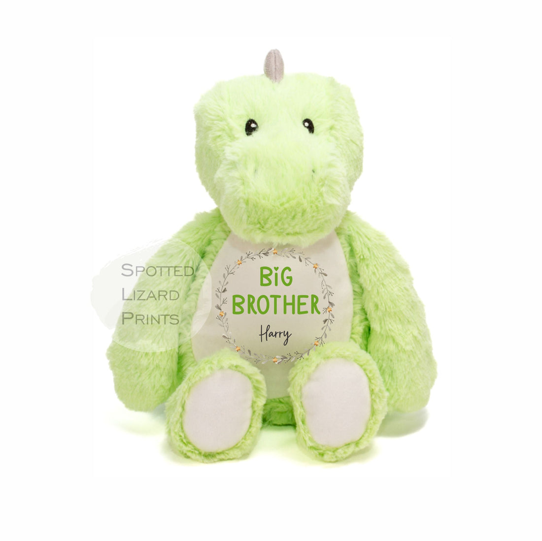 Big Brother Teddy