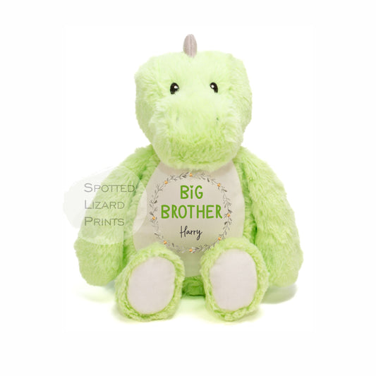 Big Brother Teddy