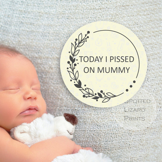 Funny/Sweary Baby Milestone Discs