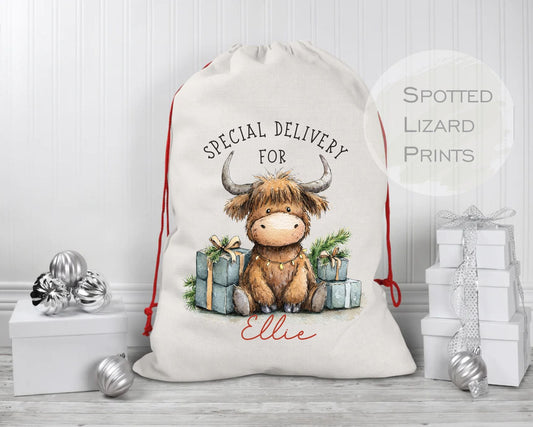 Personalised Christmas sack with name from Spotted Lizard Prints UK