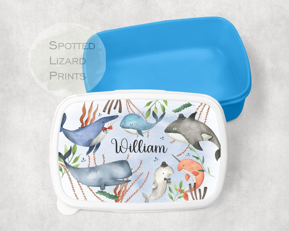 Snack boxes for kids