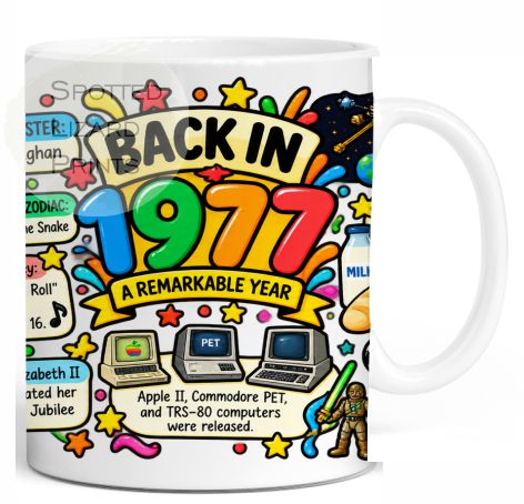 Born in 1977 Facts – Back in 1977 - Mug for Him, Her, Friend, Son, Daughter