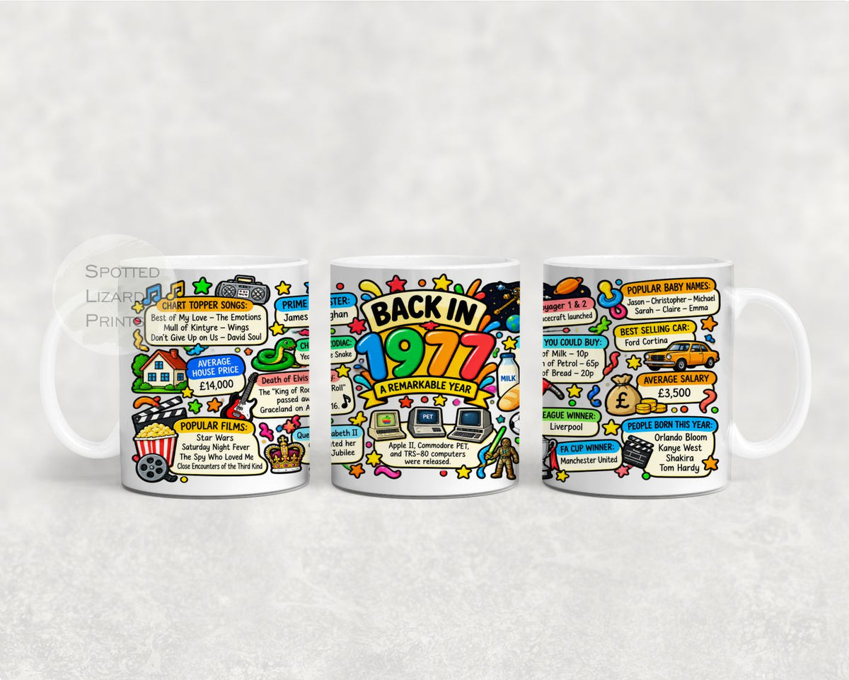 Born in 1977 Facts – Back in 1977 - Mug for Him, Her, Friend, Son, Daughter