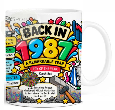 Born in 1987 Facts – Back in 1987 - Mug for Him, Her, Friend, Son, Daughter