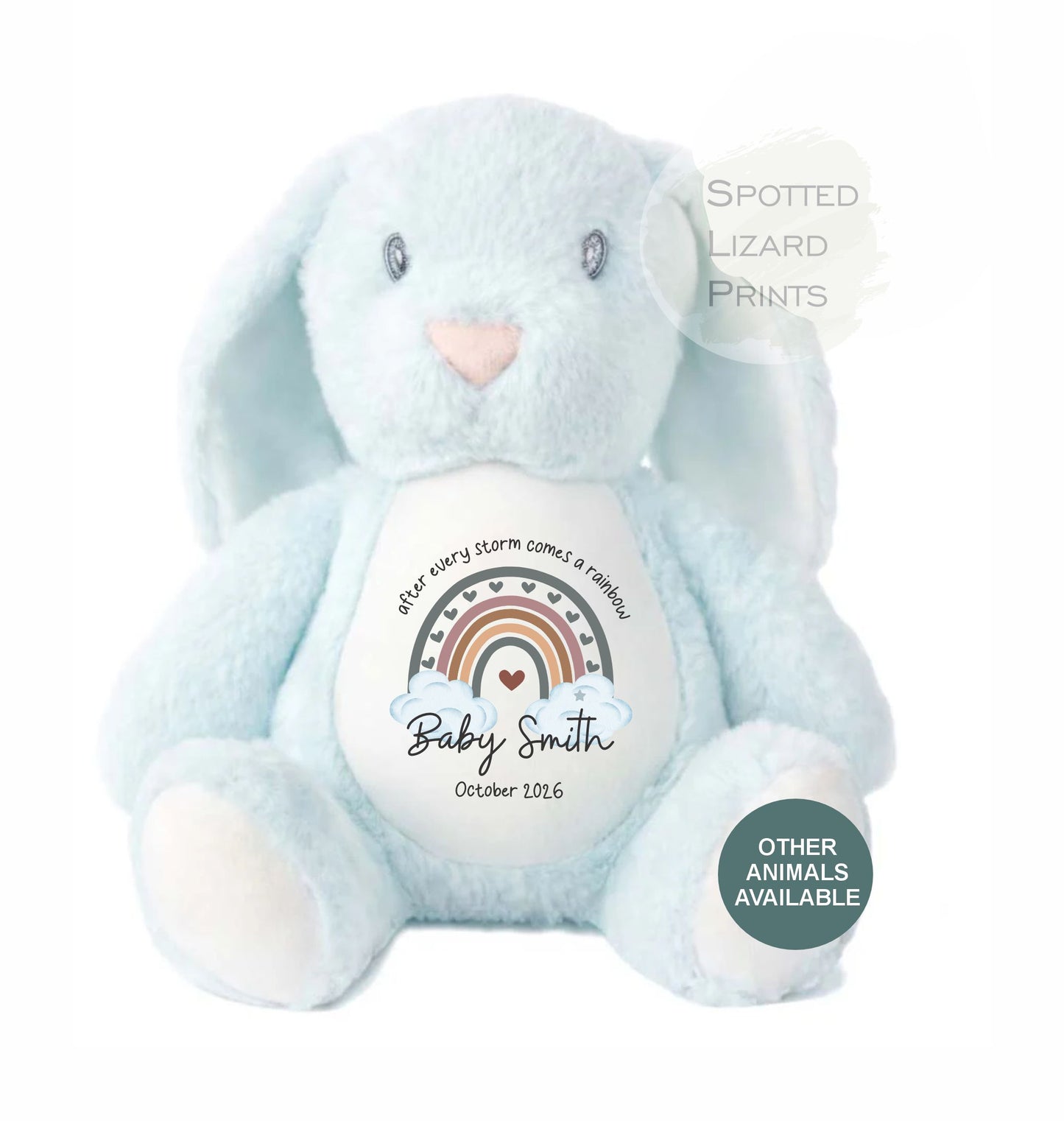 After Every Storm comes a rainbow Baby Teddy