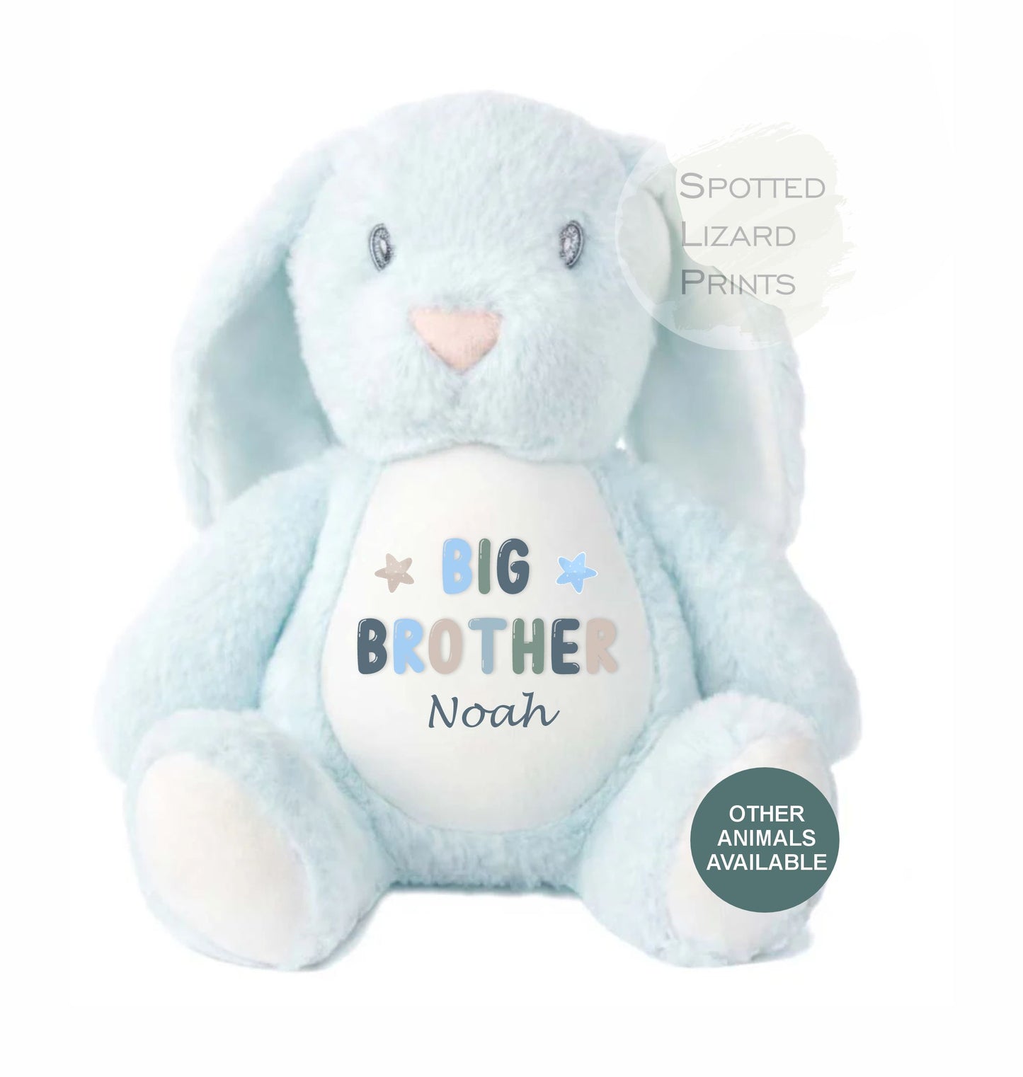 Sibling Teddy