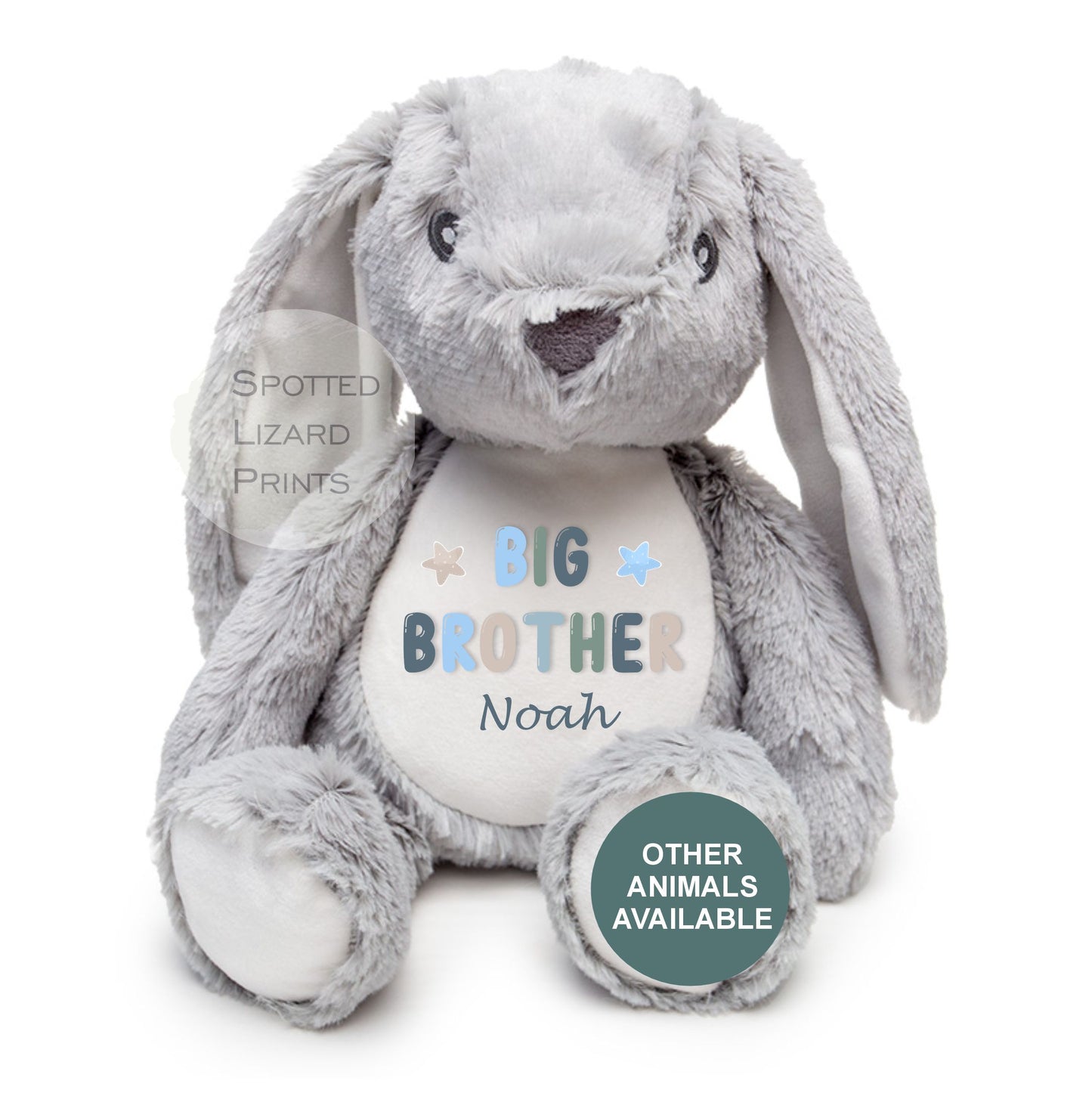 Matching Sibling Teddy, Big Sister & Little Sister Unicorn, Big Brother, Little Brother Dinosaur, New Baby Gift Teddy