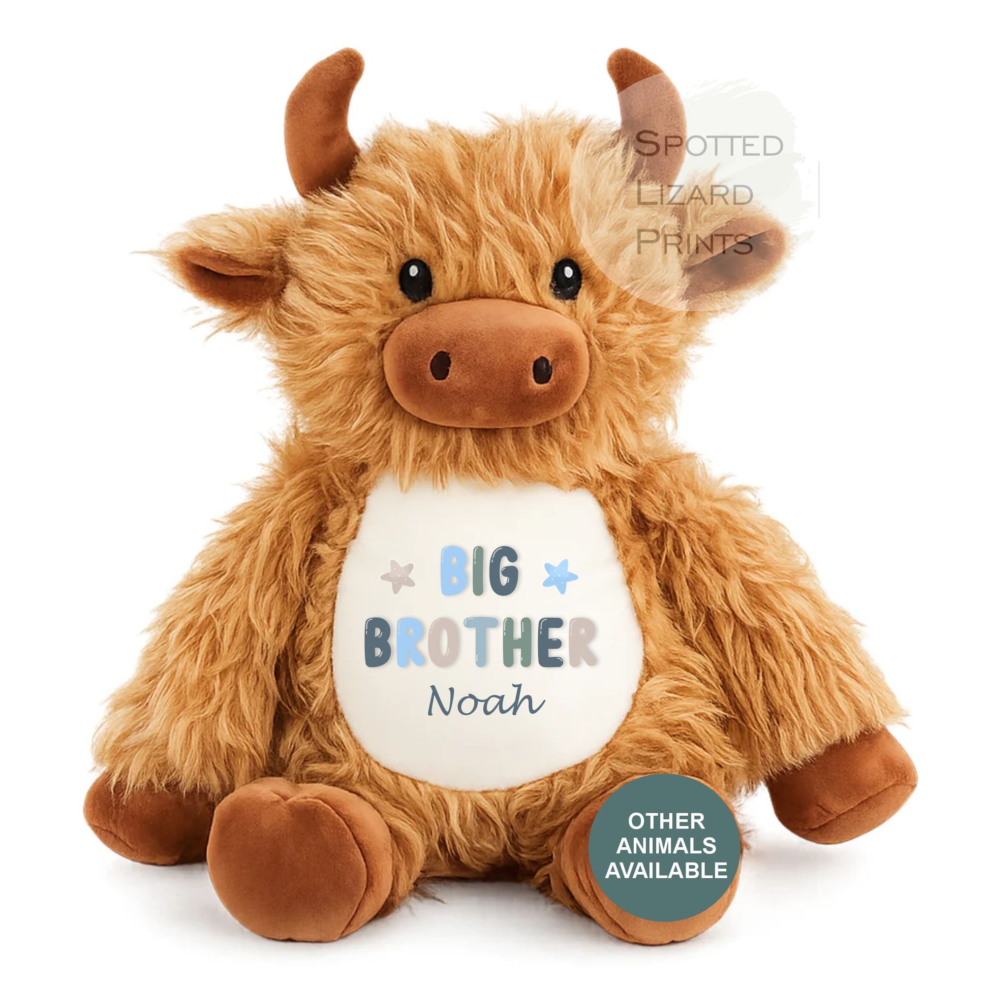 Sibling Teddy