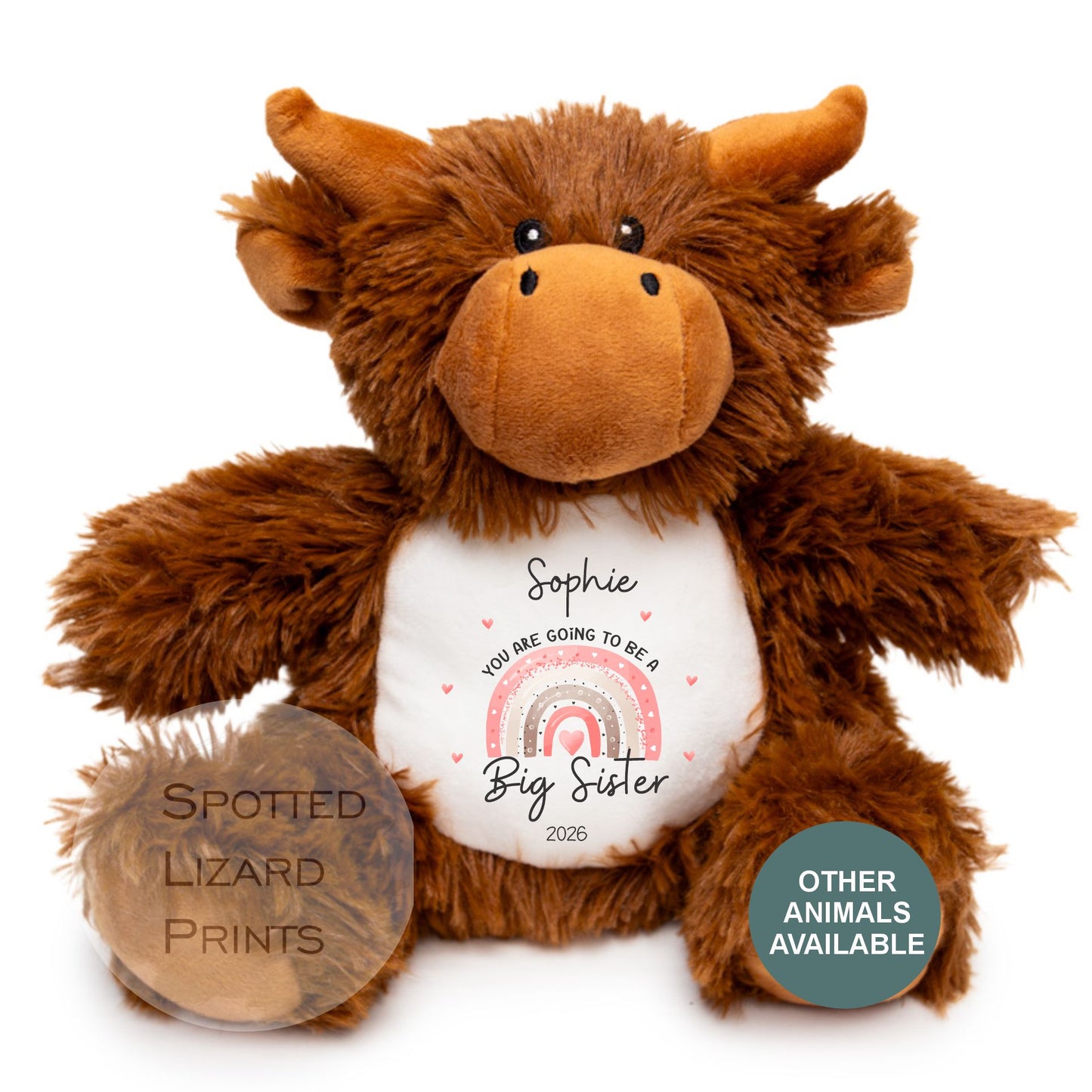 Personalised New Baby Gift, Going to be a big sister, Pregnancy reveal, Big sister Gift, Promoted to Big Brother, Promoted to Big Sister