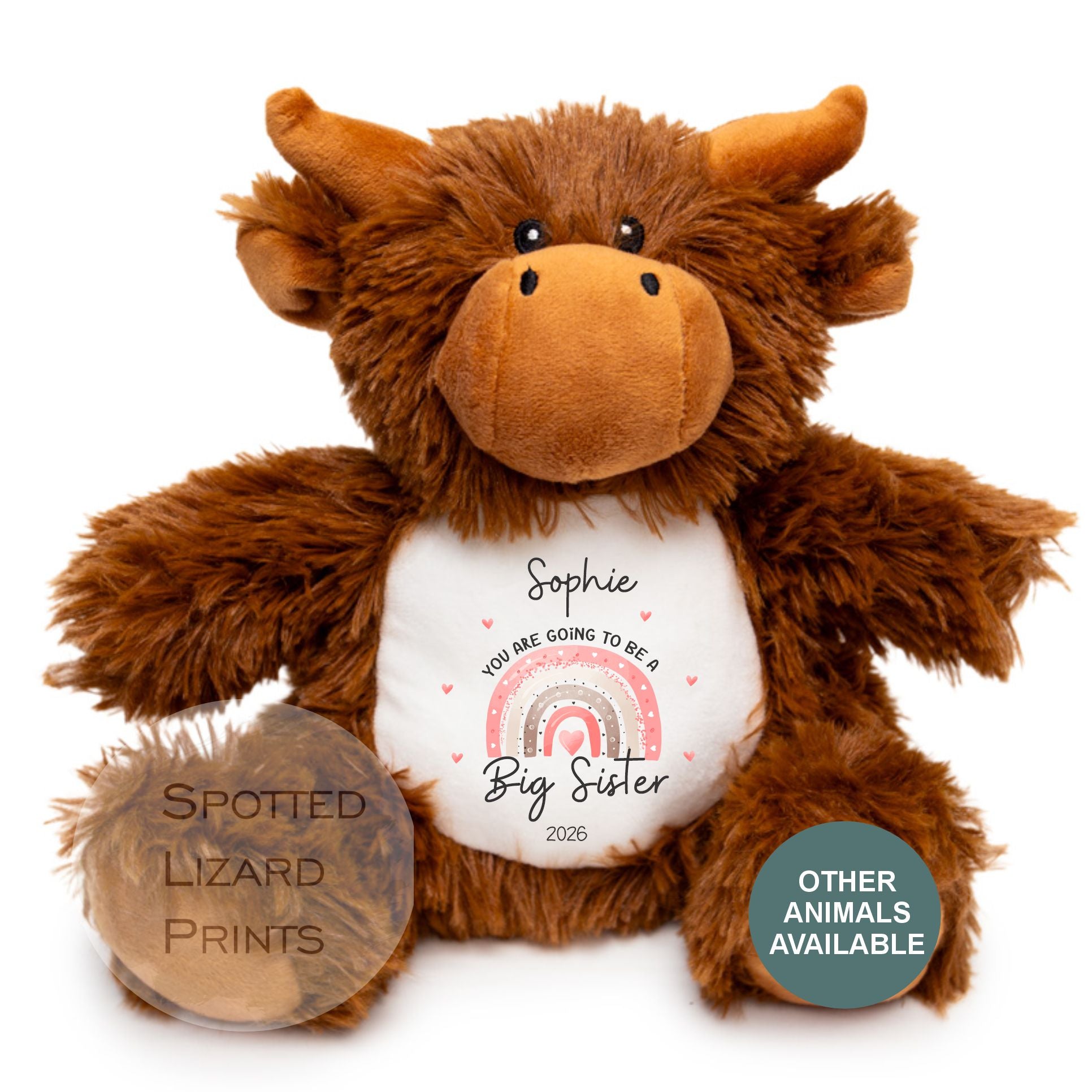 Personalised New Baby Gift, Going to be a big sister, Pregnancy reveal, Big sister Gift, Promoted to Big Brother, Promoted to Big Sister