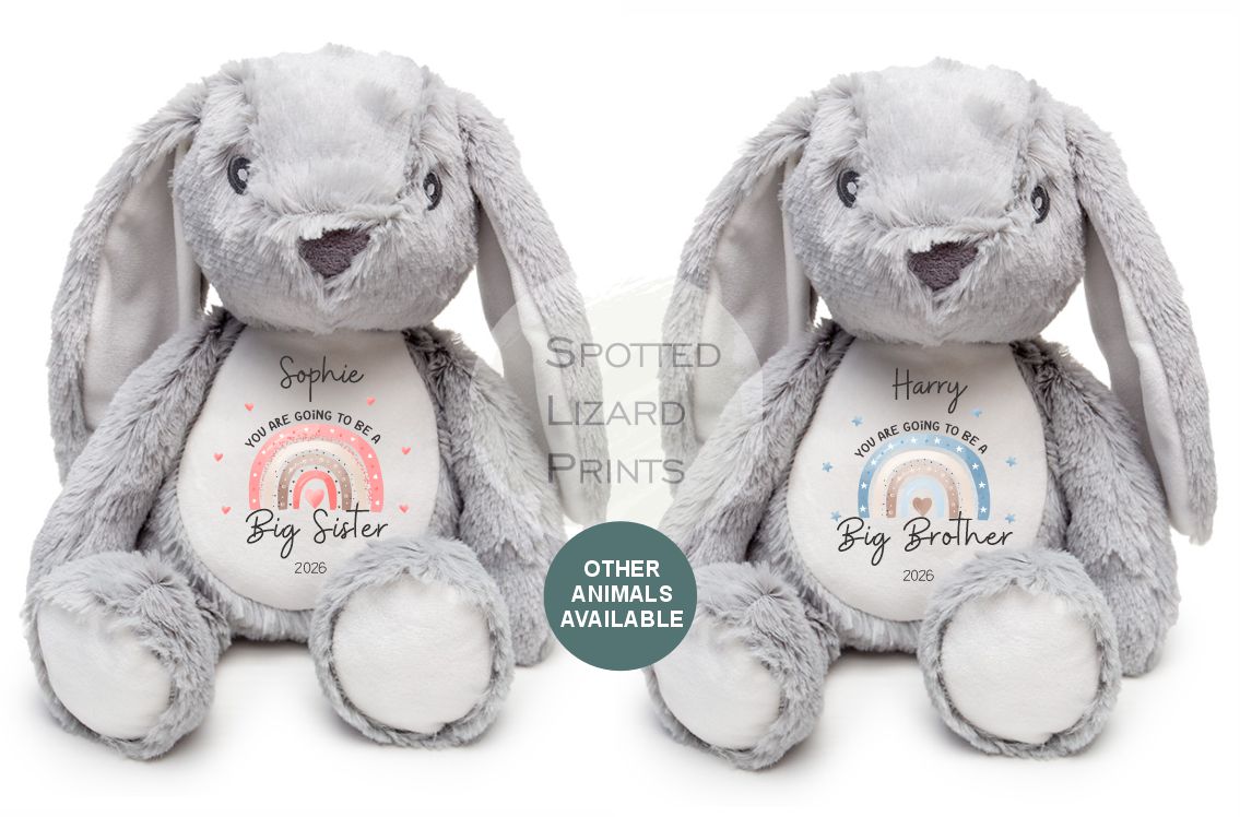 Personalised New Baby Gift, Going to be a big sister, Pregnancy reveal, Big sister Gift, Promoted to Big Brother, Promoted to Big Sister