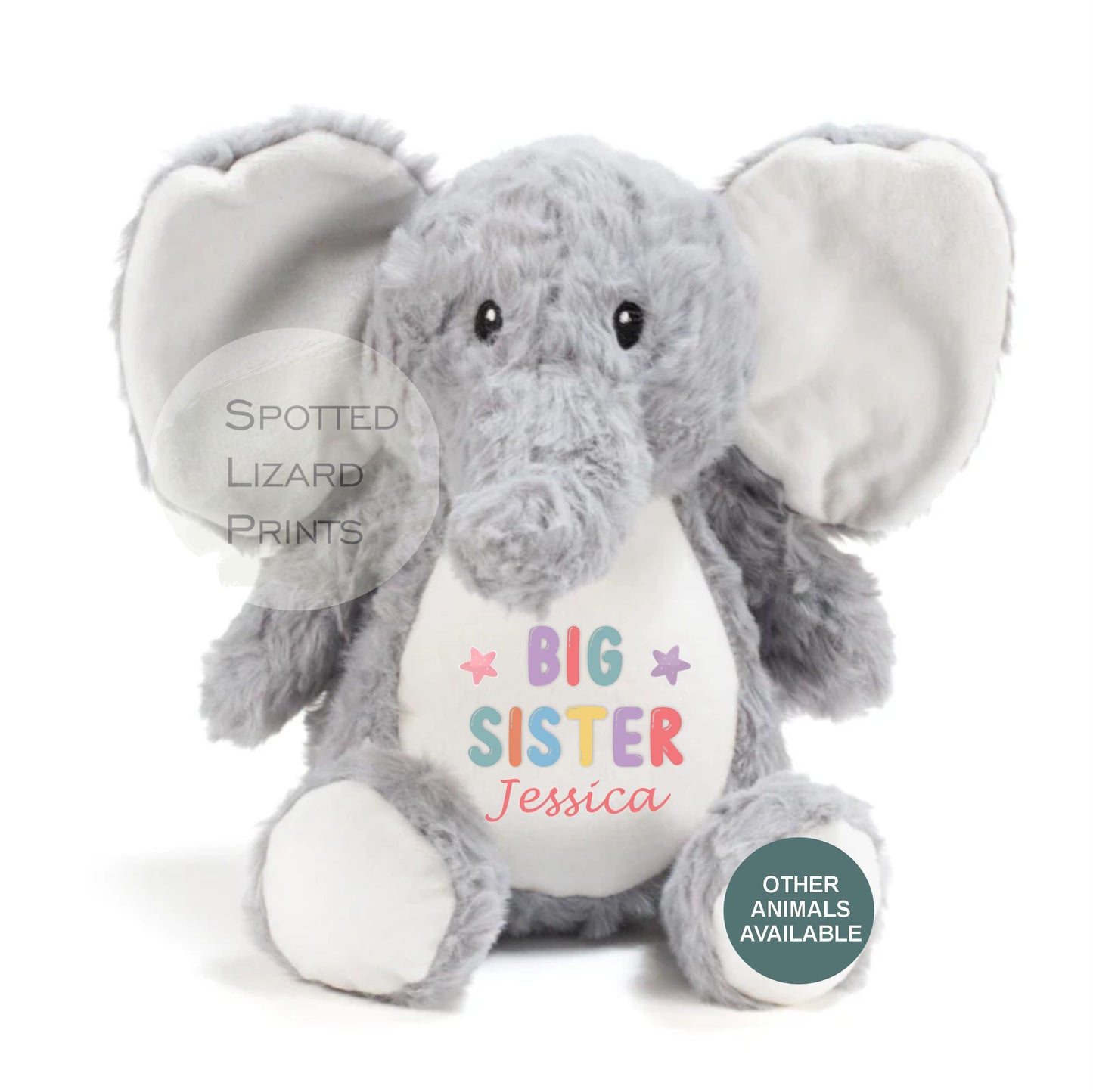 Matching Sibling Teddy, Big Sister & Little Sister Unicorn, Big Brother, Little Brother Dinosaur, New Baby Gift Teddy