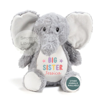 Matching Sibling Teddy, Big Sister & Little Sister Unicorn, Big Brother, Little Brother Dinosaur, New Baby Gift Teddy