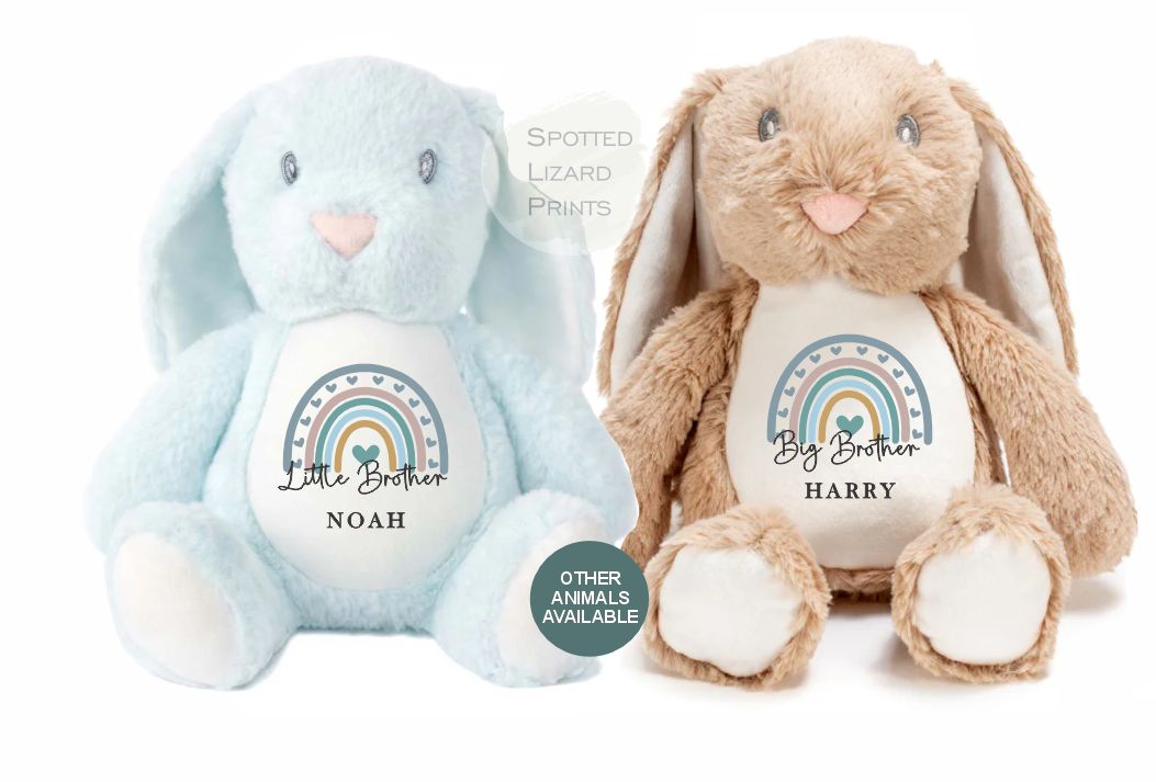 Pregnancy announcement Teddy