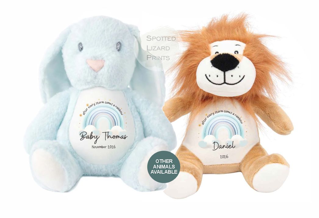 After Every Storm comes a rainbow Baby Teddy