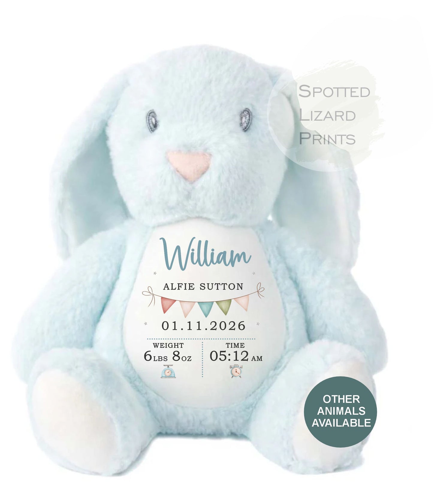 Personalised Soft Toy,New Birth Gift,Baby Shower Gift,New Baby Gift,Baby Keepsake, Baby Boy,Newborn Gift, Bunny Toy, Teddy,New Parents