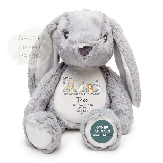 Personalised Born in 2026 Soft Toy Name, Welcome to the World - Baby Shower - Baby Gift - Baby Girl Baby Boy - personalised baby gift