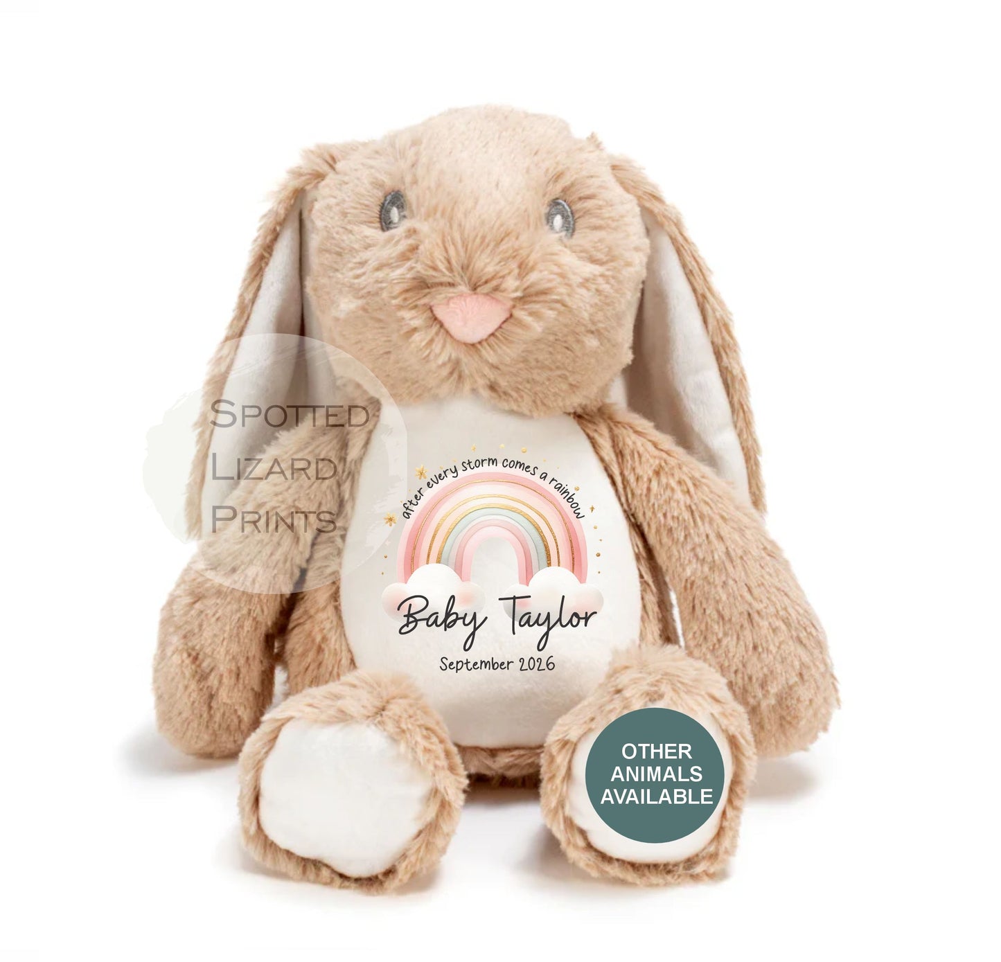 After Every Storm comes a rainbow Baby Teddy - IVF New baby arrival gift, new baby soft toy | miracle baby | rainbow baby