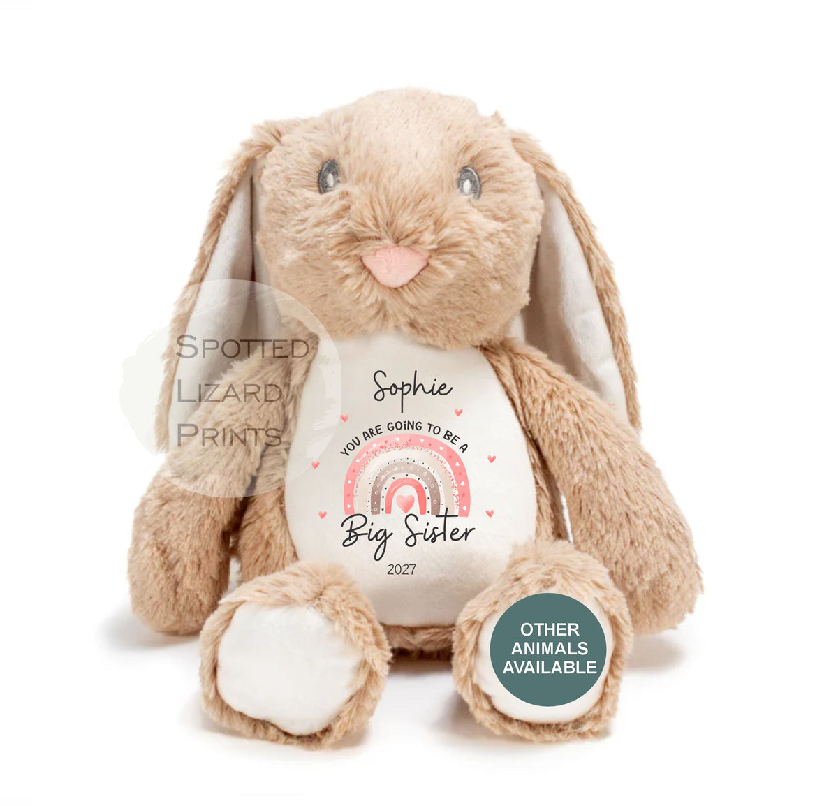 Personalised New Baby Gift, Going to be a big sister, Pregnancy reveal, Big sister Gift, Promoted to Big Brother, Promoted to Big Sister