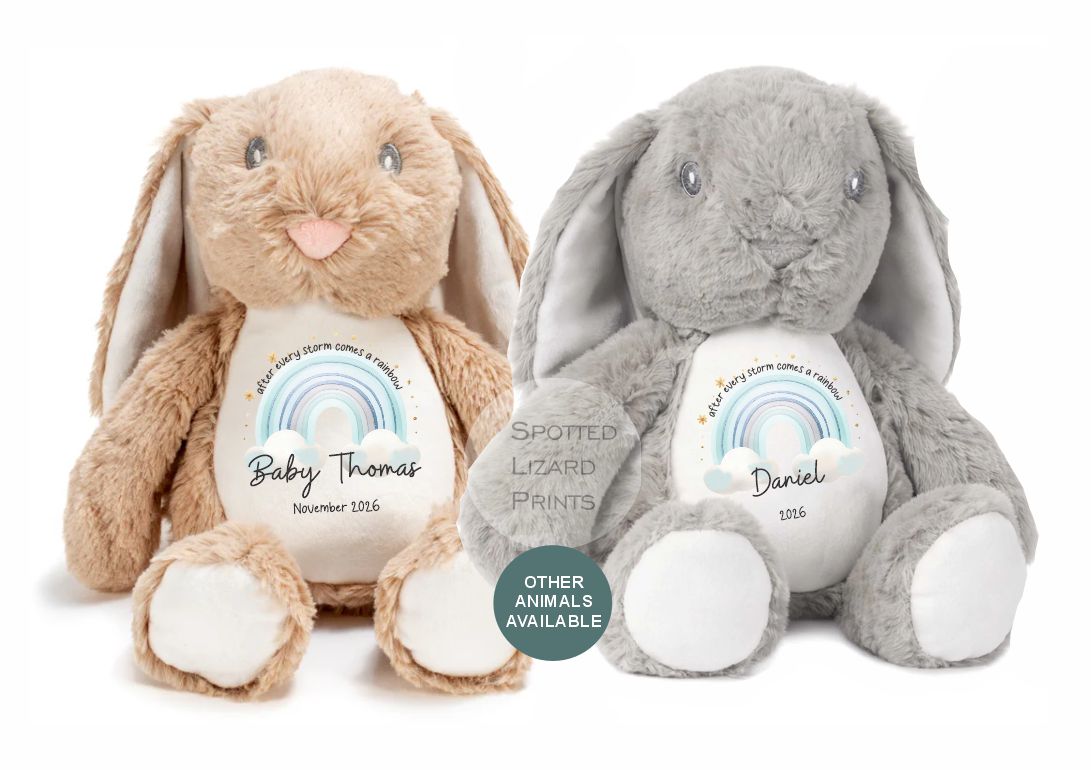 After Every Storm comes a rainbow Baby Teddy