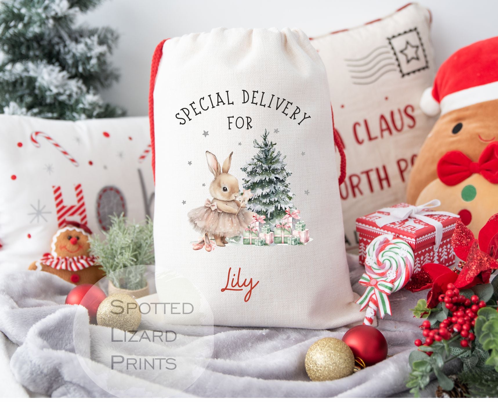 Santa sack Gift Bag