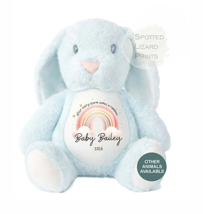 After Every Storm comes a rainbow Baby Teddy