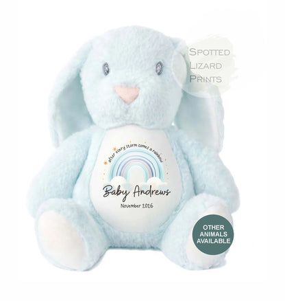 After Every Storm comes a rainbow Baby Teddy