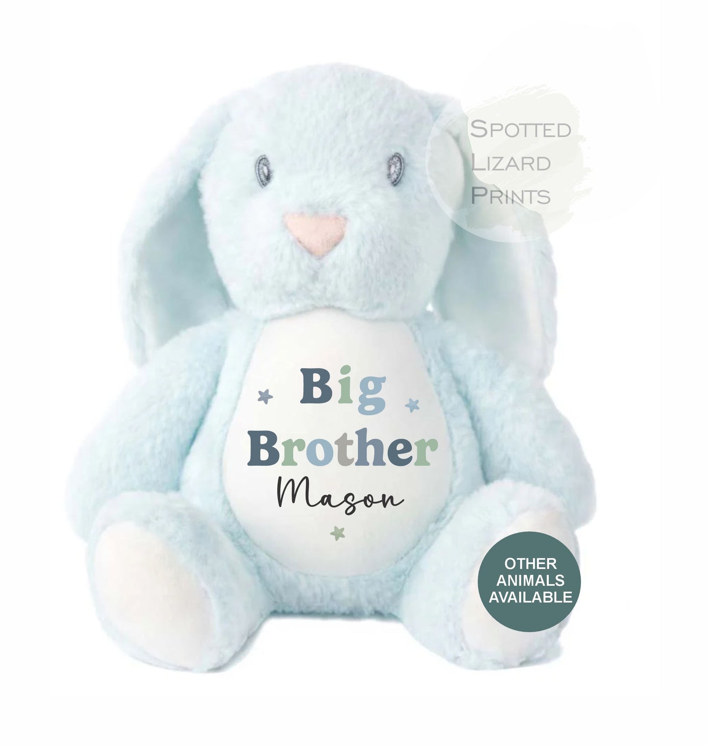 Sibling Teddy, Big Brother & Little Brother Dinosaur Big Sister, Little Sister Unicorn, New Baby Gift Teddy