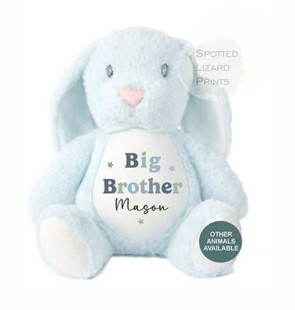 Sibling Teddy, Big Brother & Little Brother Dinosaur Big Sister, Little Sister Unicorn, New Baby Gift Teddy