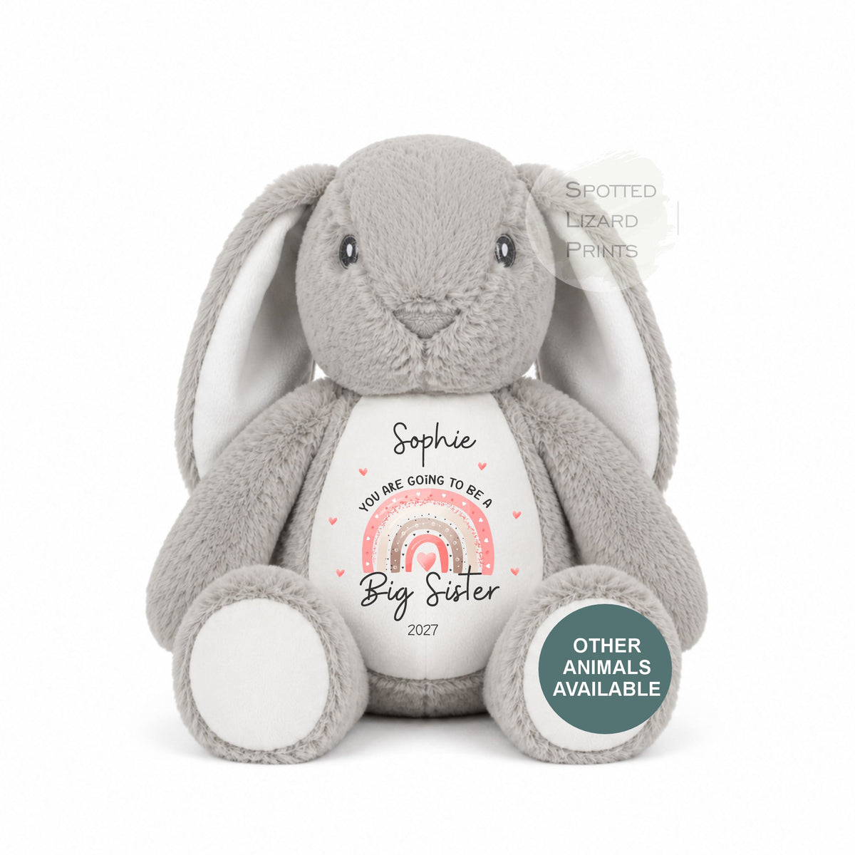 Personalised New Baby Gift, Going to be a big sister, Pregnancy reveal, Big sister Gift, Promoted to Big Brother, Promoted to Big Sister
