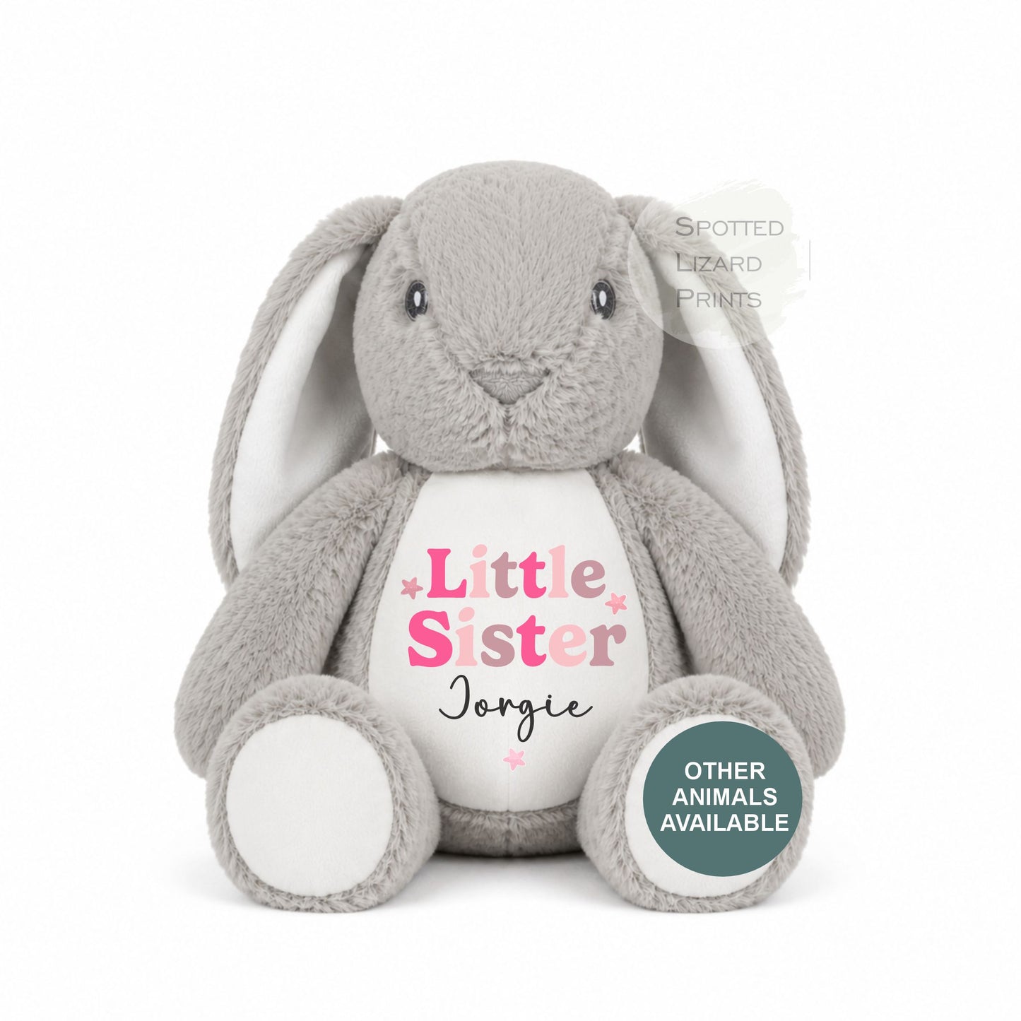 Sibling Teddy, Big Brother & Little Brother Dinosaur Big Sister, Little Sister Unicorn, New Baby Gift Teddy