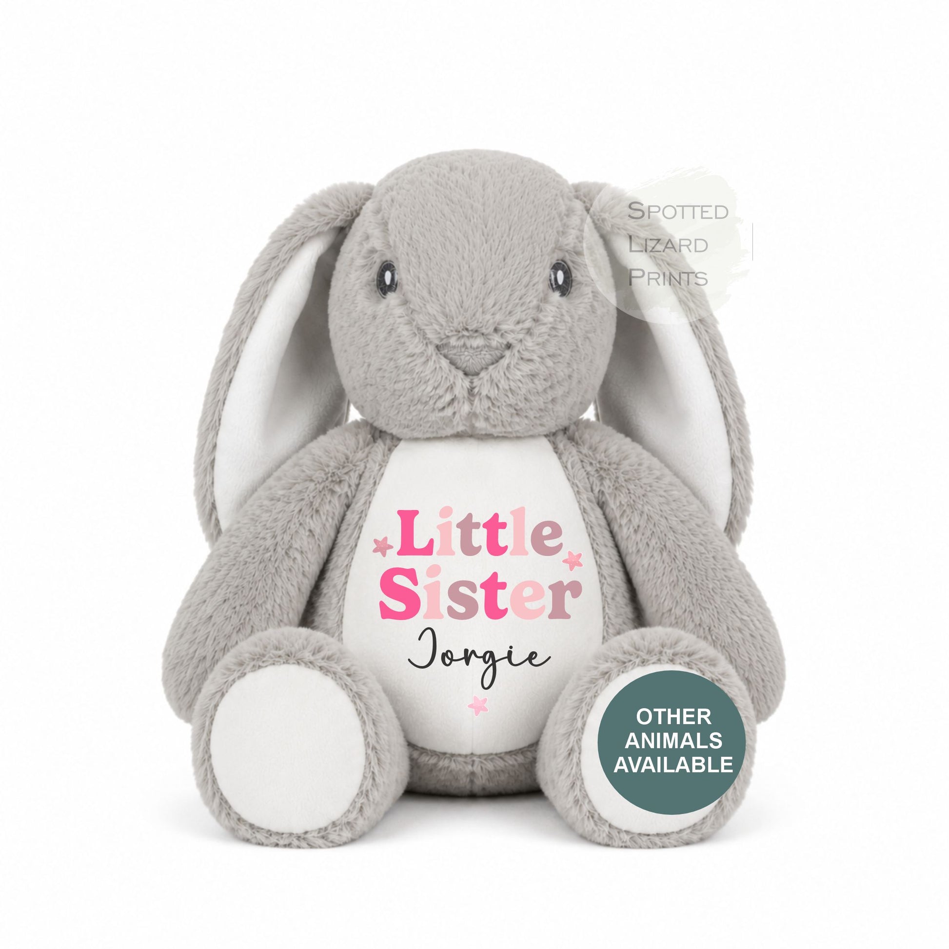 Sibling Teddy, Big Brother & Little Brother Dinosaur Big Sister, Little Sister Unicorn, New Baby Gift Teddy