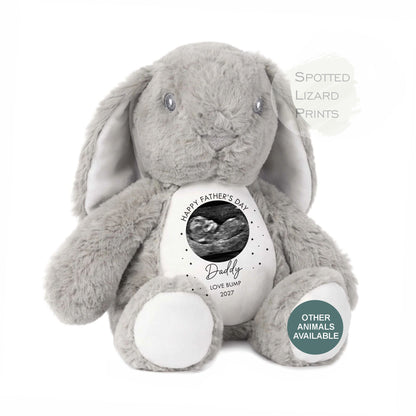 Fathers Day Gift From Bump Bunny Soft Toy 