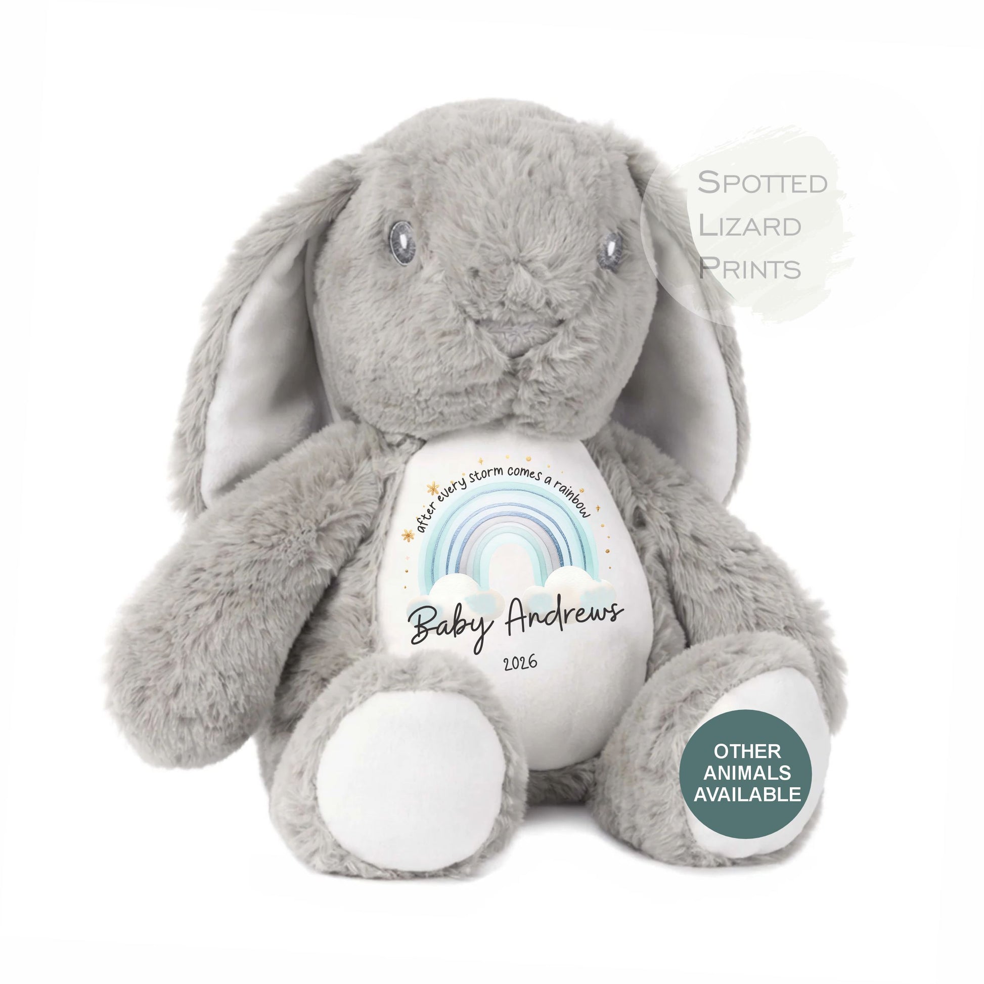 After Every Storm comes a rainbow Baby Teddy