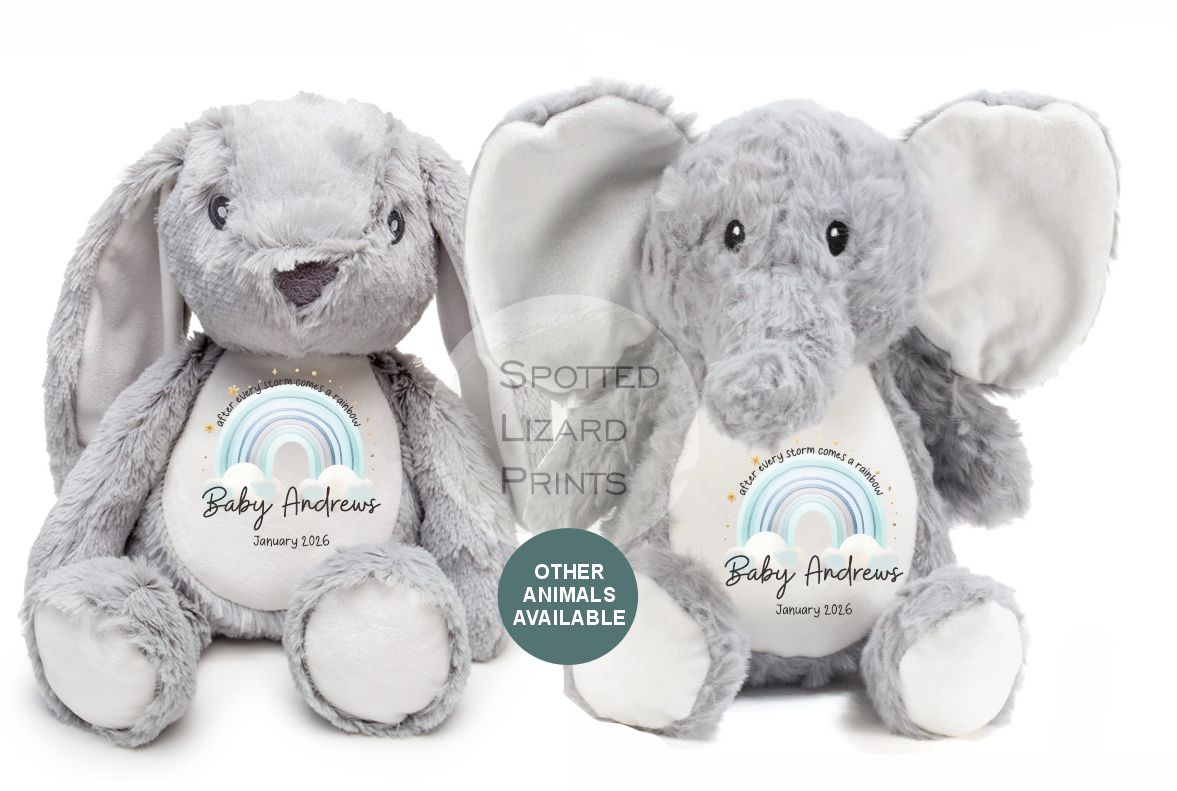 After Every Storm comes a rainbow Baby Teddy - IVF New baby arrival gift, new baby soft toy | miracle baby | rainbow baby