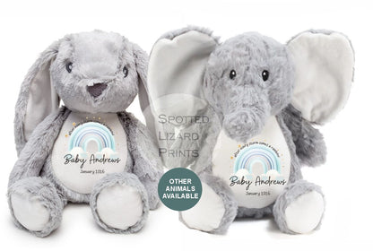 After Every Storm comes a rainbow Baby Teddy - IVF New baby arrival gift, new baby soft toy | miracle baby | rainbow baby