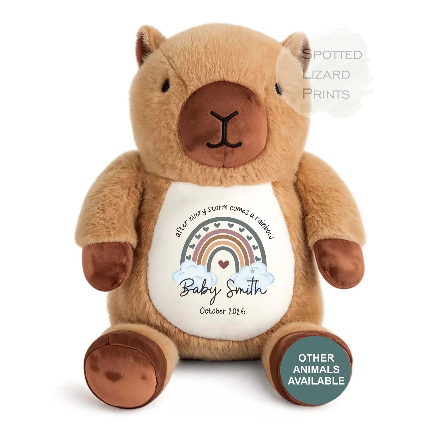 After Every Storm comes a rainbow Baby Teddy