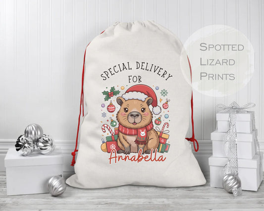 Capybara Santa sack