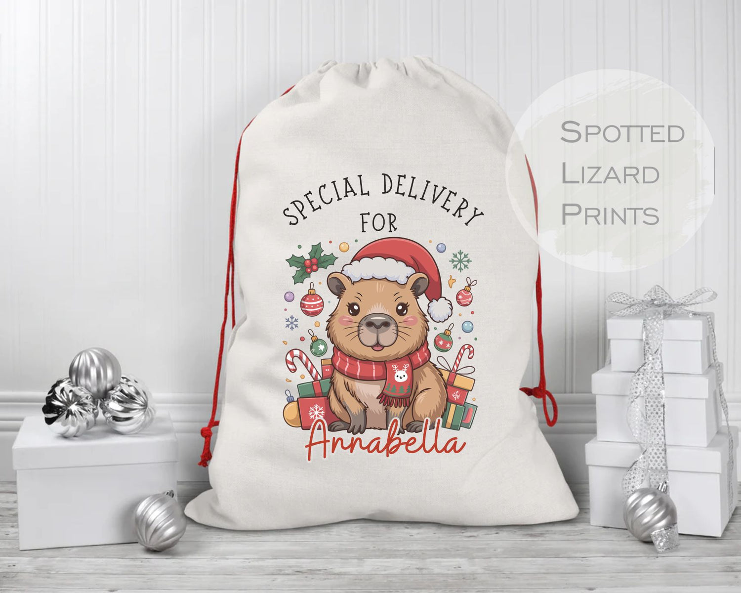 Capybara Santa Sack