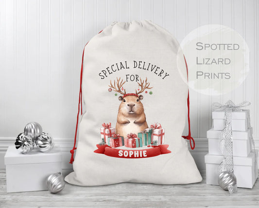 Personalised Santa Sack - Capybara Santa Sack - Santa sacks personalised - Christmas present sack - Christmas gift sacks - Christmas Sack